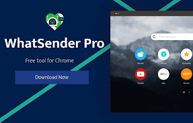 WhatSender Pro
