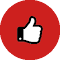 YouTube Auto Liker