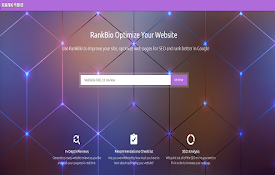 RankBio - SEO &amp; Website Analysis