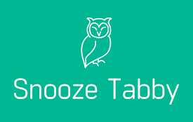 Snooze Tabby
