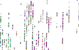 Visualize My History