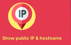 Whois IP查询