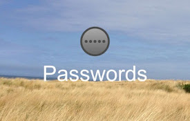 Passwords