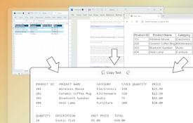 Copy &amp; Paste as Text - Neatly formatted