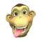 Monkey Invasion