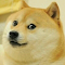 Plugin Icon