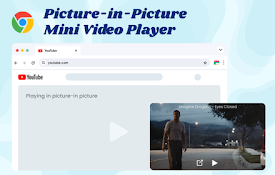 Picture-in-Picture - Mini Video Player