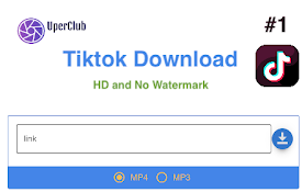 抖音 Tiktok 高清无水印视频下载（免费)