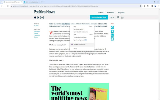 Plugin Screenshot
