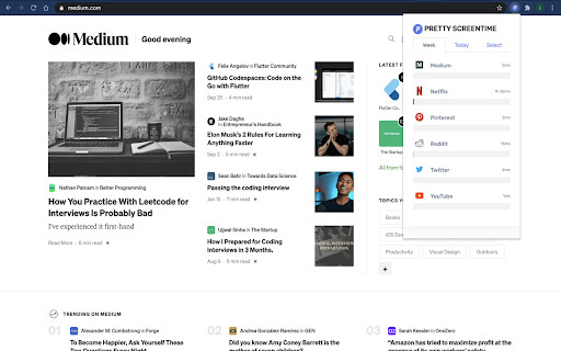 Plugin Screenshot