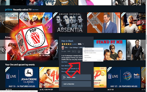 Plugin Screenshot