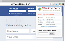 WebStatData Organic Report