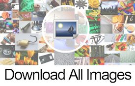 Download All Images