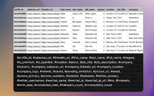 Plugin Screenshot