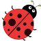 Bug Matrix ? – SQA Testing Tools Hub
