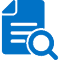 Extension Auditor
