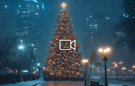 Christmas Tree in City Live Wallpaper