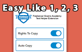 Freelancer Exams Academy - Test Helper