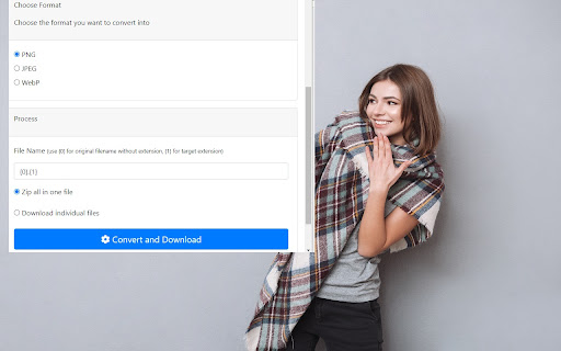 Plugin Screenshot