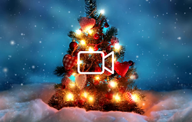 Christmas Tree Lights Live Wallpaper