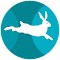 Dev Hopper