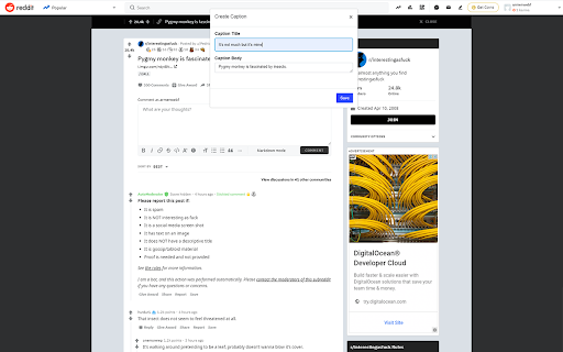 Plugin Screenshot