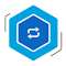 Plugin Icon