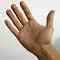 Make America&#39;s Hands Tiny Again