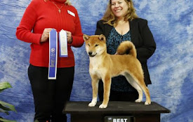 Doge ify - Super Doge!