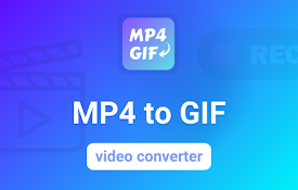 MP4 到 GIF 转换器