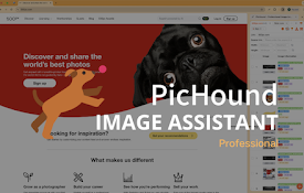 PicHound - 专业图片全能助手，批量下载、同步、轻松收集管理。