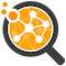 SEObserver