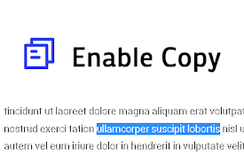 EnableCopy 启用复制