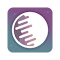 Scryfall Context Menu