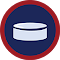 Plugin Icon