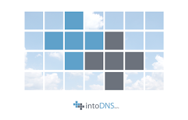 IntoDNS Chrome