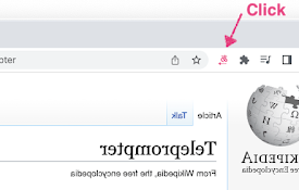 Page Mirroring