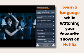Watch and Learn: Study a language while watching Netflix