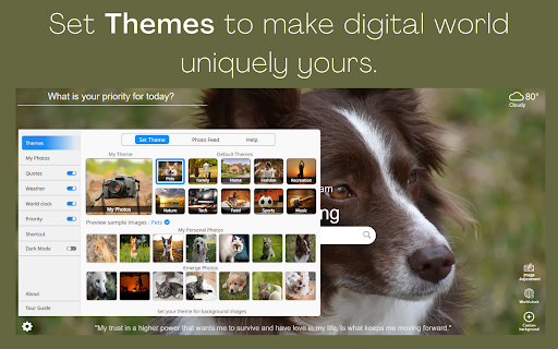 Plugin Screenshot