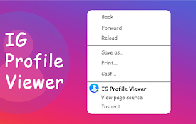 IG Profile Viewer