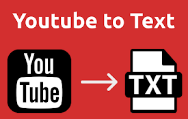 YouTube Transcript - YouTube 视频转录文本