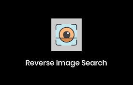 Reverse Image Search