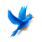 Twitter Enhanced