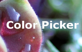 Color Picker