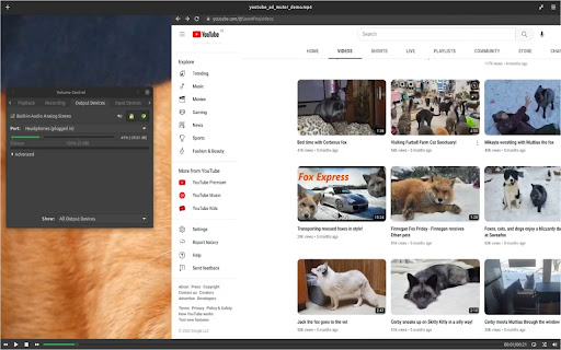 Plugin Screenshot