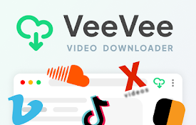 Video Downloader VeeVee – 视频下载器