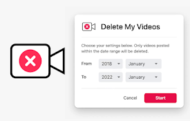 Delete All My Videos on TikTok™