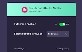 Double Subtitles for Netflix by MovieLingo