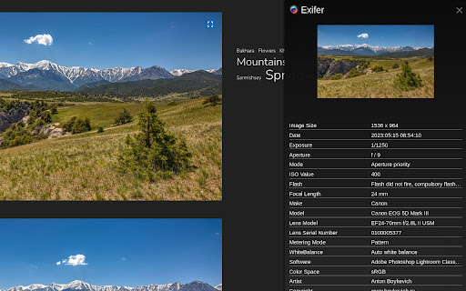 Plugin Screenshot
