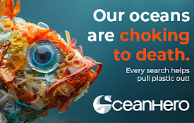 OceanHero: Save Our Oceans by Surfing the Web